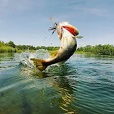 Freshwater fishing
